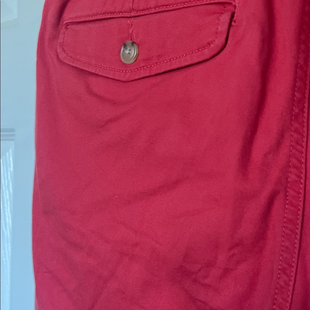Polo by Ralph Lauren Red Flat Front Shorts - Picture 5 of 5